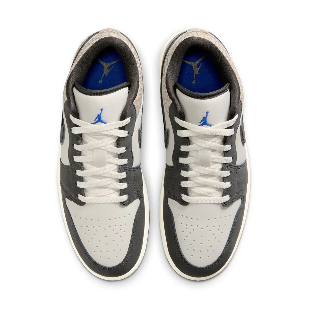 Air Jordan 1 Low SE 'SAIL/GAME ROYAL/DEEP PEWTER/GAMMA GREY' - Image 3