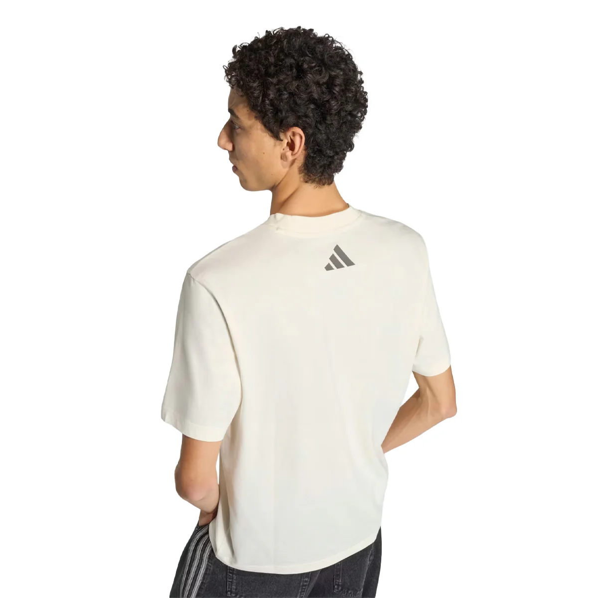 + MERCEDES - AMG PETRONAS FORMULA 1 TEAM SILVER ARROWS TEE 'Off White / Granite' - Image 5